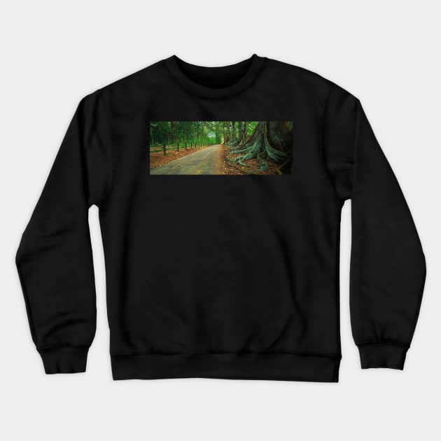 Fig trees Crewneck Sweatshirt by dags